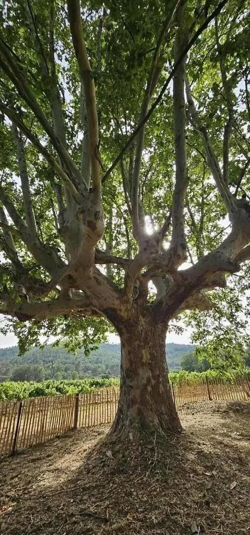 Holiday home Gite Superbe Bastidon Provencal Isole Au Coeur Des Vignes Bio Cuers